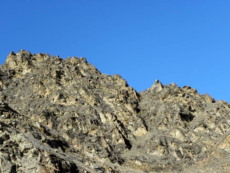 Workshops & Education